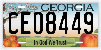 GA license plate CEO8449