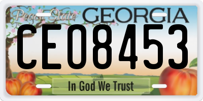 GA license plate CEO8453