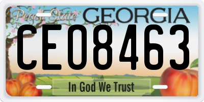 GA license plate CEO8463