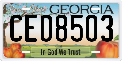 GA license plate CEO8503