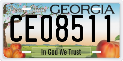 GA license plate CEO8511