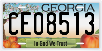 GA license plate CEO8513