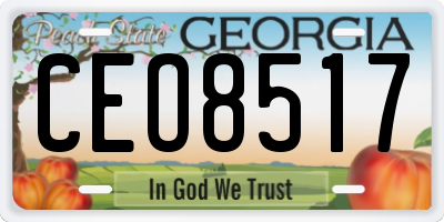 GA license plate CEO8517