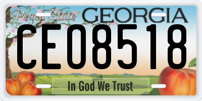 GA license plate CEO8518