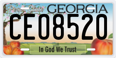 GA license plate CEO8520
