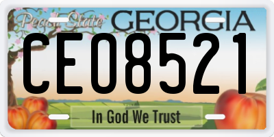GA license plate CEO8521