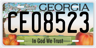 GA license plate CEO8523