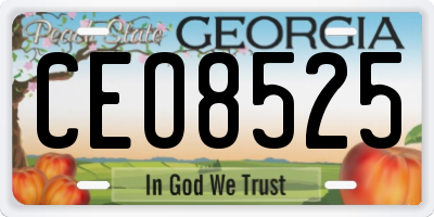 GA license plate CEO8525