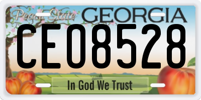 GA license plate CEO8528