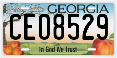 GA license plate CEO8529