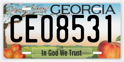 GA license plate CEO8531