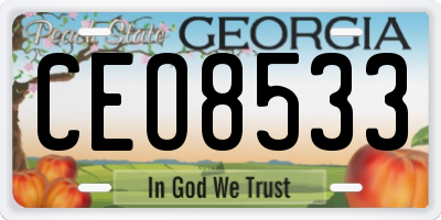 GA license plate CEO8533
