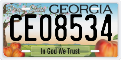 GA license plate CEO8534