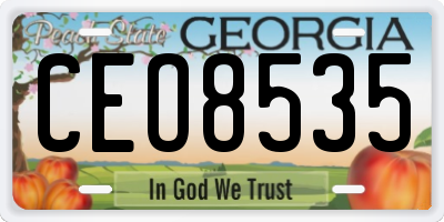 GA license plate CEO8535