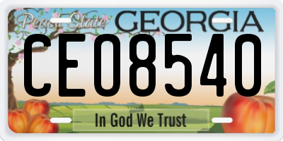 GA license plate CEO8540