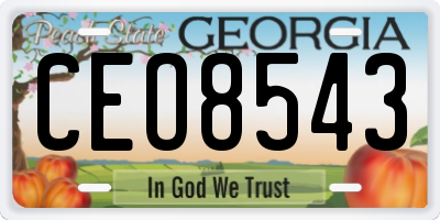 GA license plate CEO8543