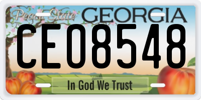 GA license plate CEO8548