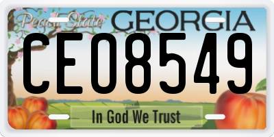 GA license plate CEO8549