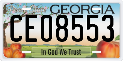 GA license plate CEO8553