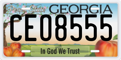 GA license plate CEO8555