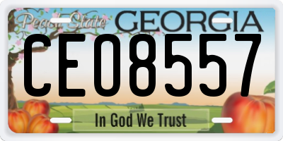 GA license plate CEO8557
