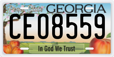 GA license plate CEO8559
