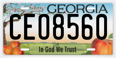 GA license plate CEO8560