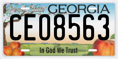 GA license plate CEO8563