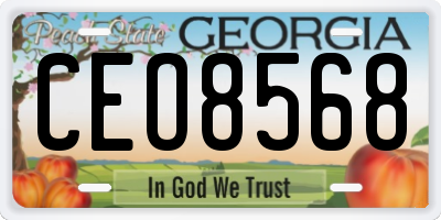 GA license plate CEO8568