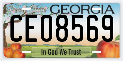 GA license plate CEO8569