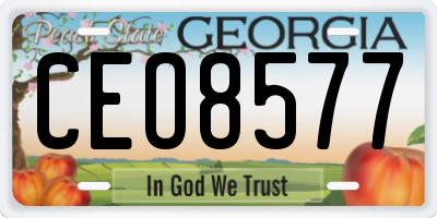 GA license plate CEO8577