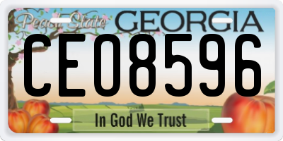 GA license plate CEO8596
