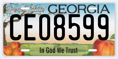GA license plate CEO8599