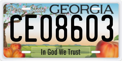 GA license plate CEO8603
