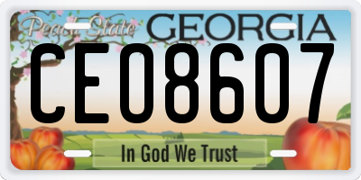 GA license plate CEO8607