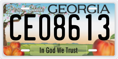 GA license plate CEO8613