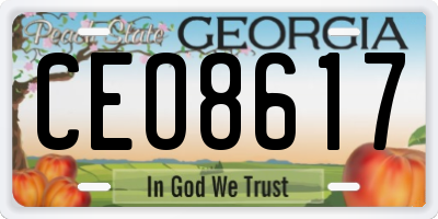 GA license plate CEO8617