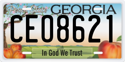 GA license plate CEO8621