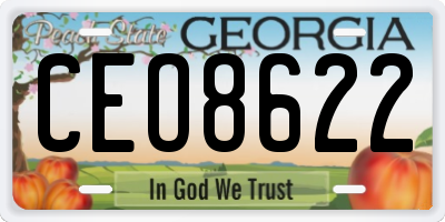 GA license plate CEO8622
