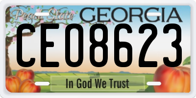 GA license plate CEO8623