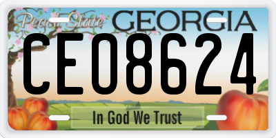 GA license plate CEO8624