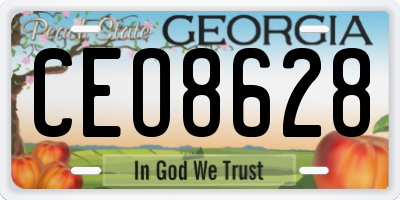 GA license plate CEO8628