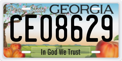 GA license plate CEO8629