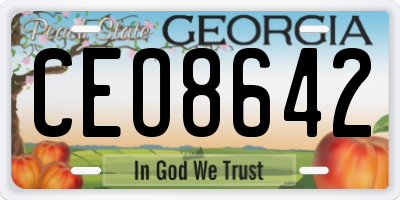 GA license plate CEO8642