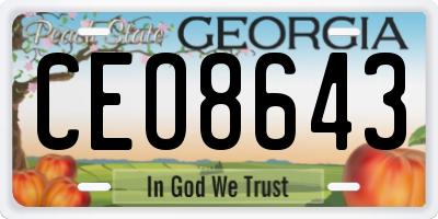 GA license plate CEO8643