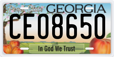GA license plate CEO8650