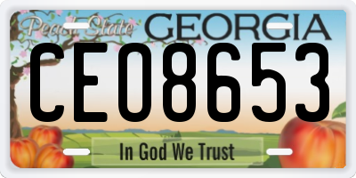 GA license plate CEO8653