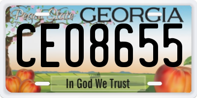 GA license plate CEO8655