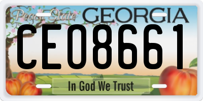 GA license plate CEO8661