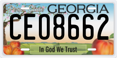 GA license plate CEO8662